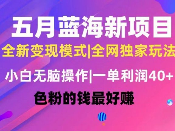 五月蓝海项目全新玩法,小白无脑操作,一天几分钟,矩阵操作,月入4万+