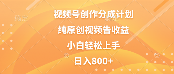 视频号创作分成计划，纯原创视频告收益，新手小白轻松上手，日入800+